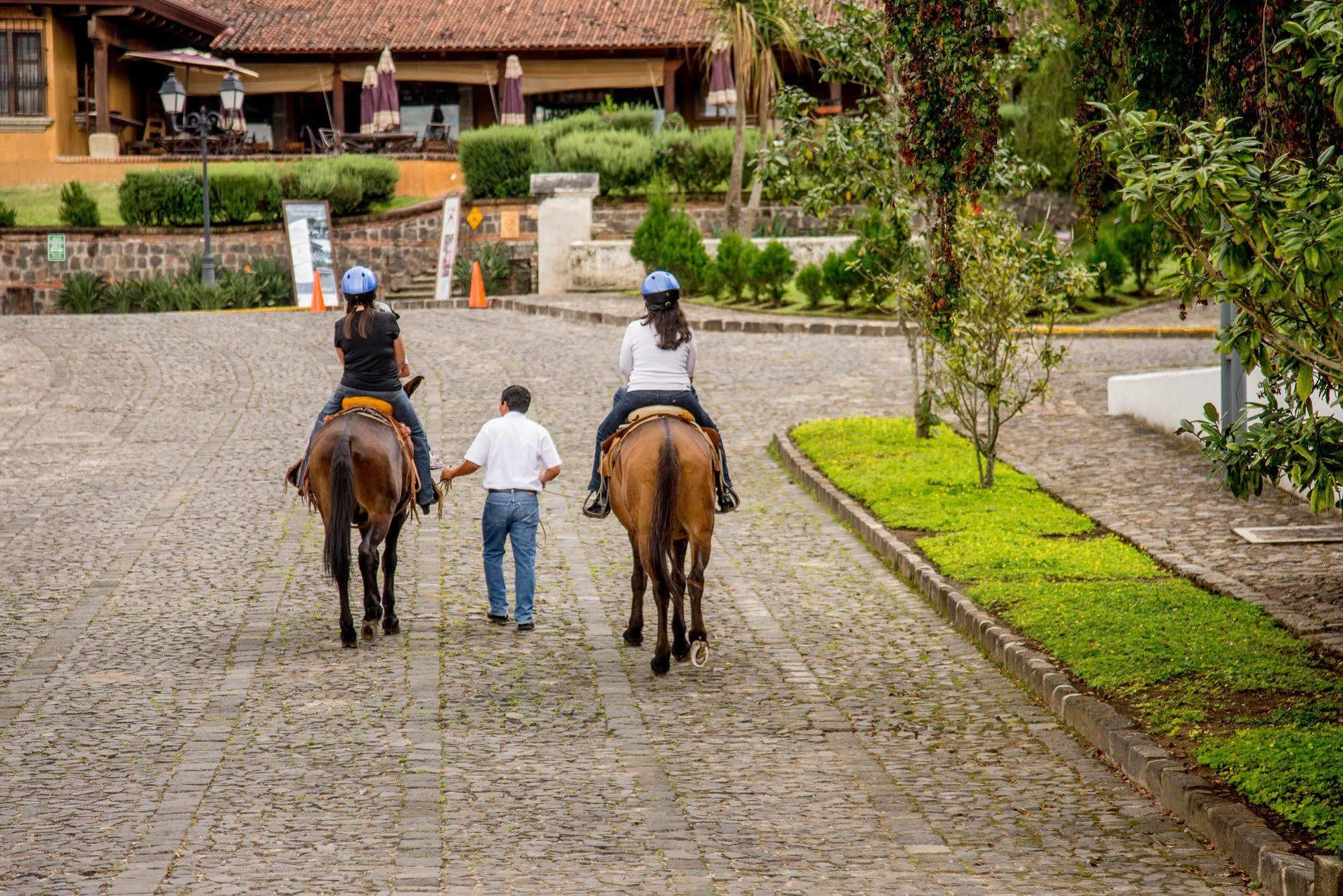 Filadelfia Coffee Resort & Tour Jocotenango エクステリア 写真