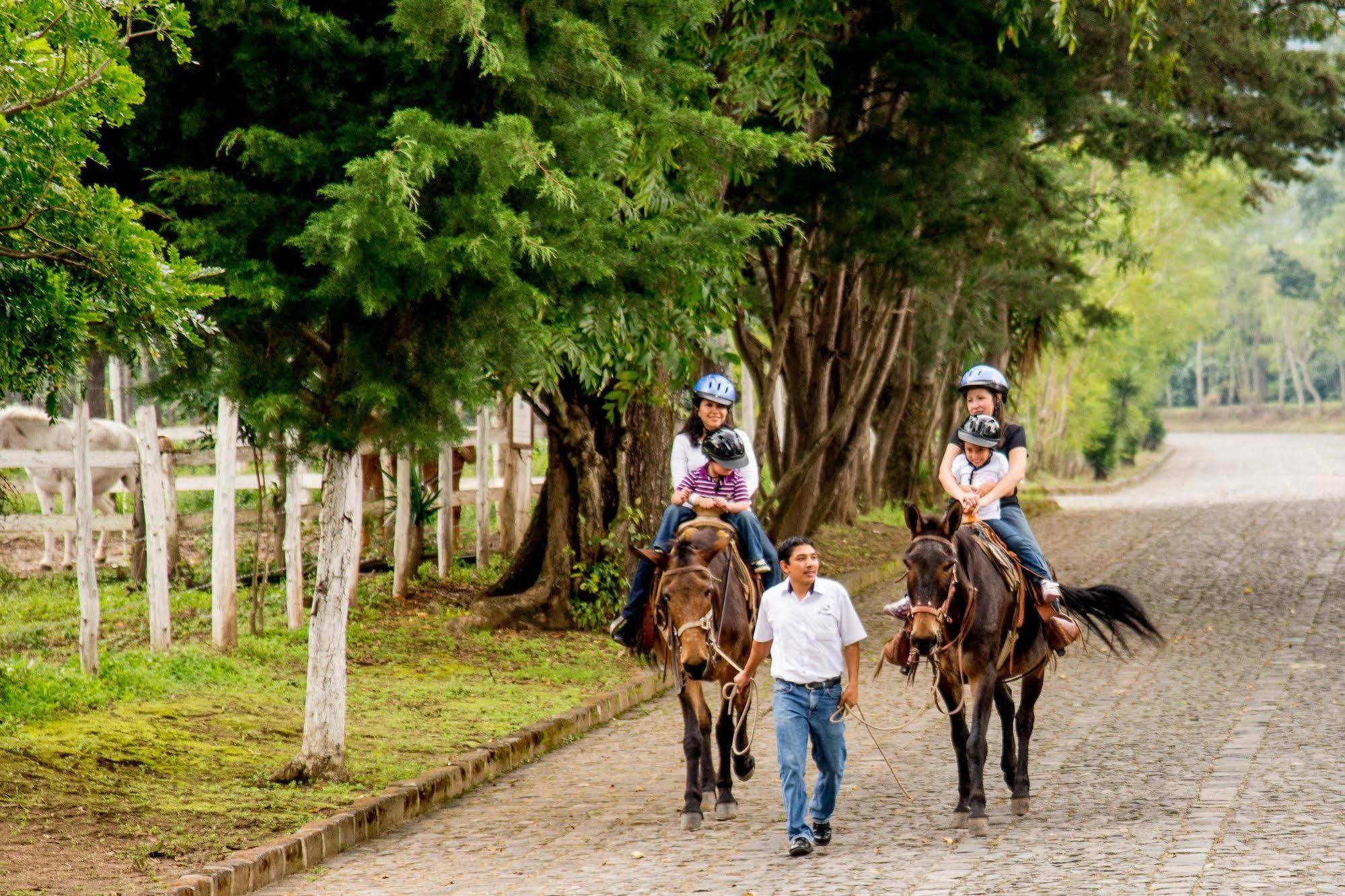 Filadelfia Coffee Resort & Tour Jocotenango エクステリア 写真